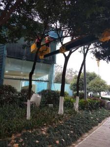 異形墻體高空作業清洗